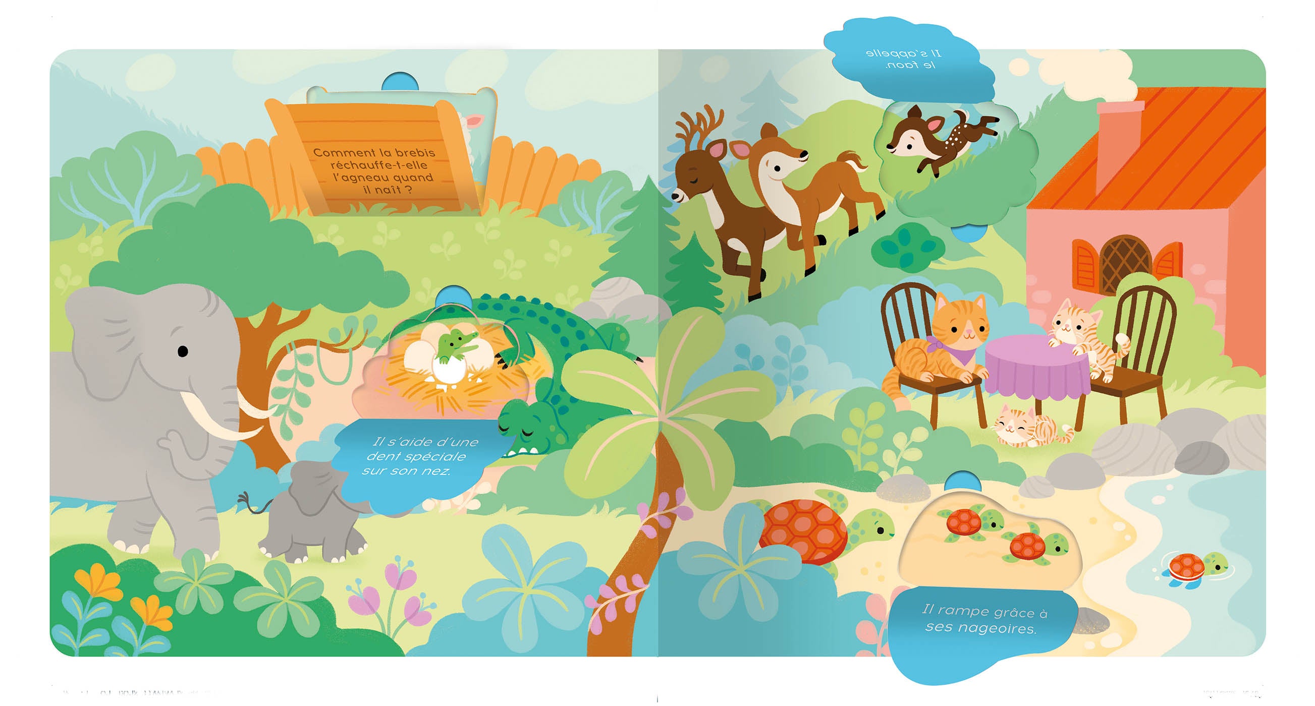 P'TIT TOUCHE À TOUT - LES BÉBÉS ANIMAUX