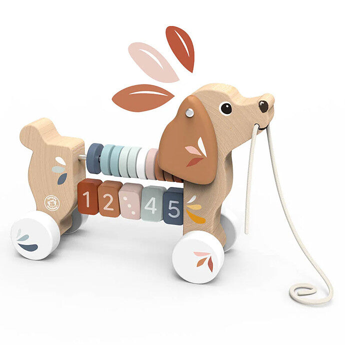 Chiot à tirer - 12m+
