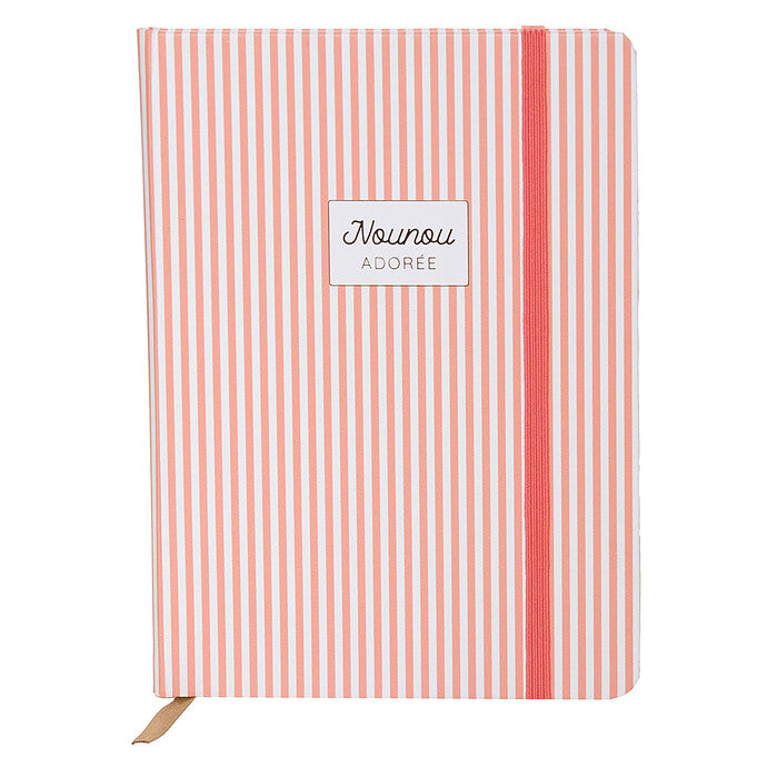CARNET "NOUNOU" - AMADEUS LES PETITS