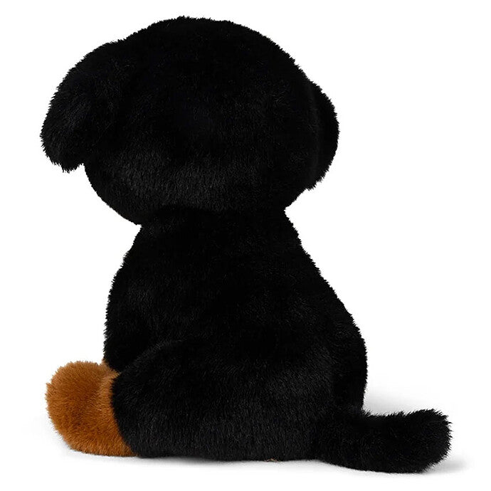 Bon Ton Toys Benny le Bouvier Bernois Peluche Chien 18 cm