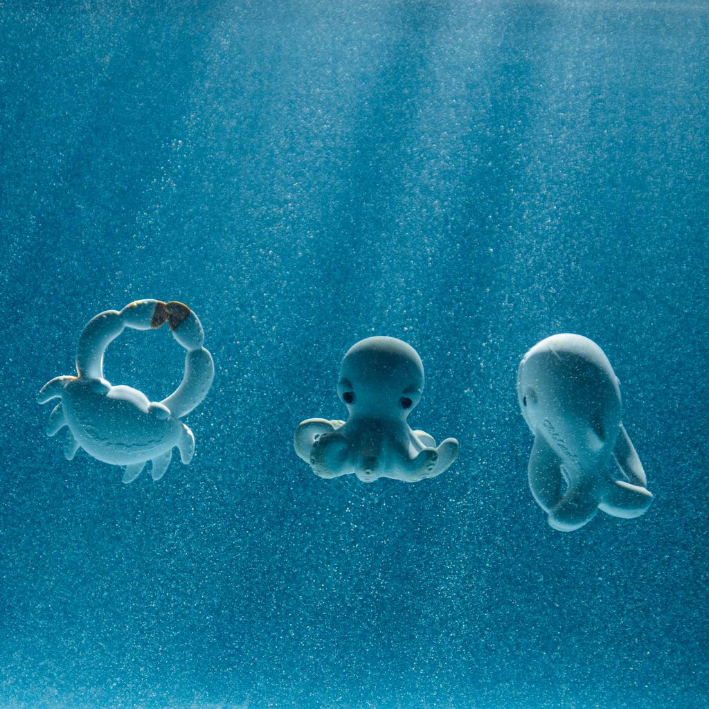 Walter the Whale Jouet Bain Bébé
