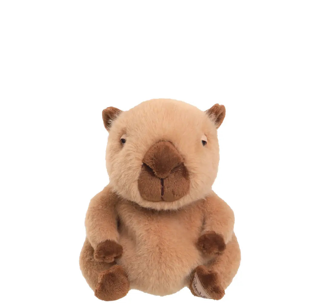 Baby Theo Capybara