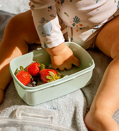 Lunch box – set de 2 – Les contes de Christian la Baleine