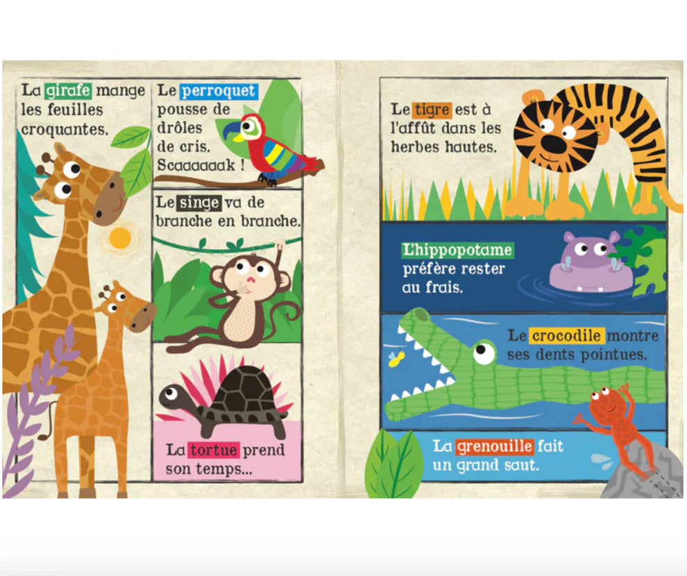 Mon petit journal : Animaux du Safari