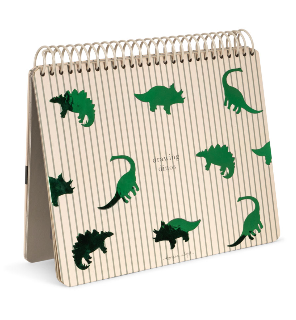 Livre magique à l'eau - Dino