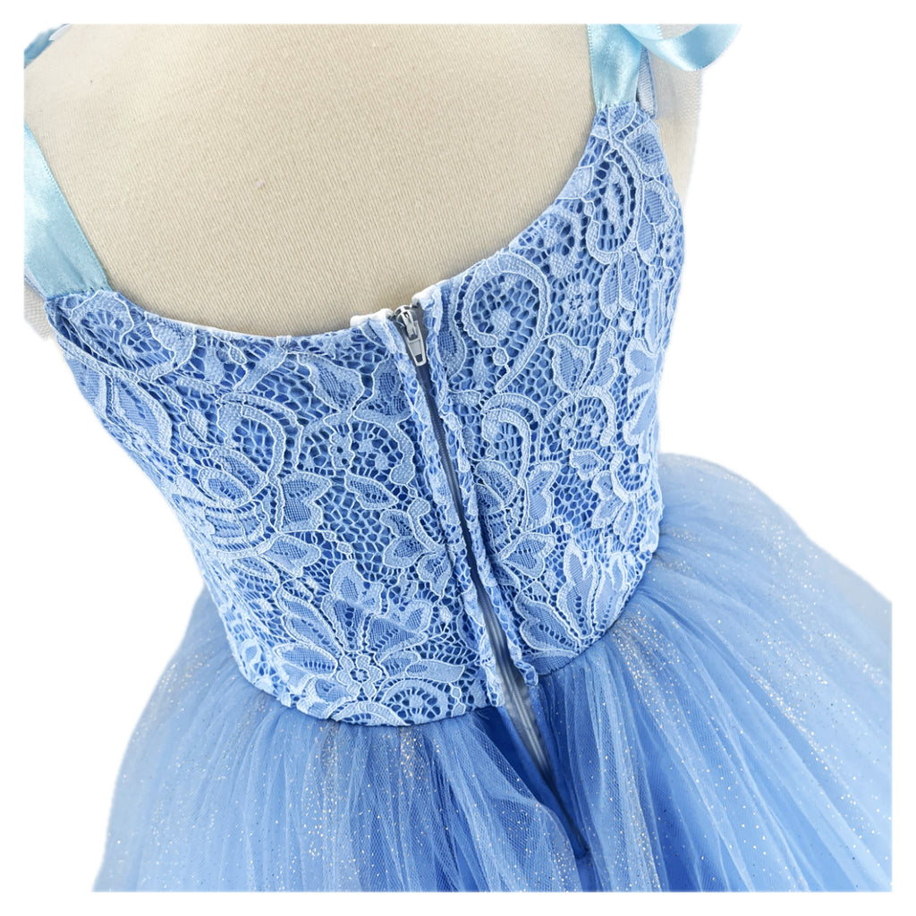 Robe de princesse - Eva