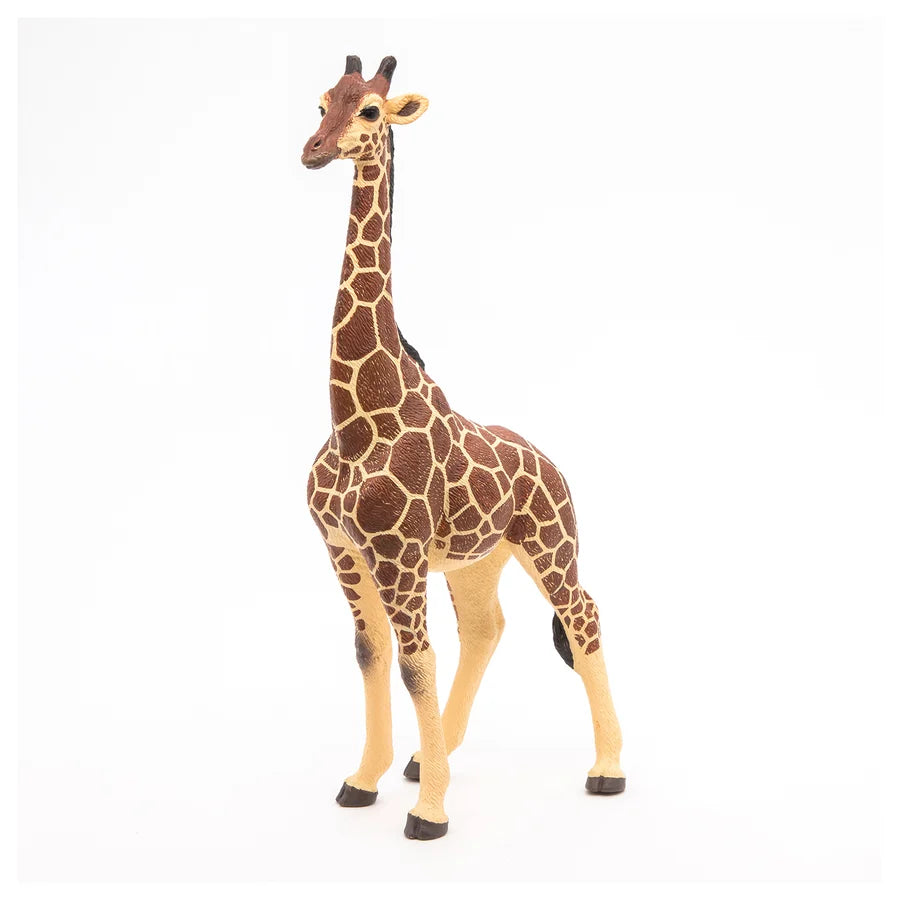 Figurine Girafe mâle