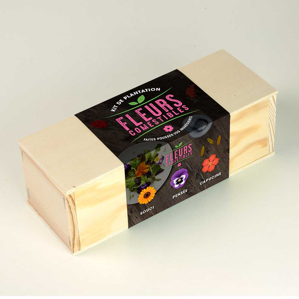 Kit d’Auto-culture Fleurs comestibles