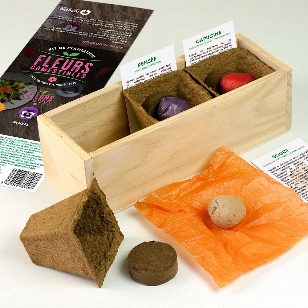 Kit d’Auto-culture Fleurs comestibles