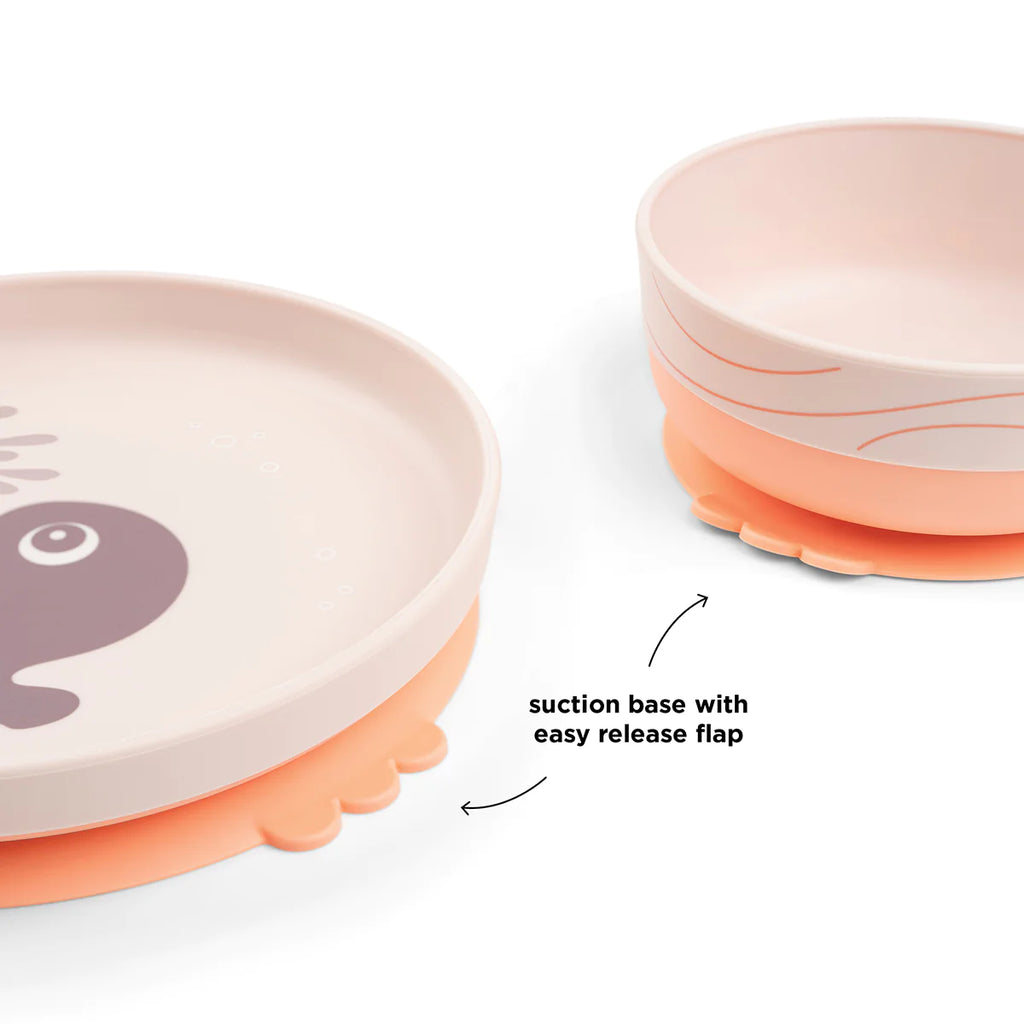 Coffret Repas 3 Pièces Foodie - Wally Powder