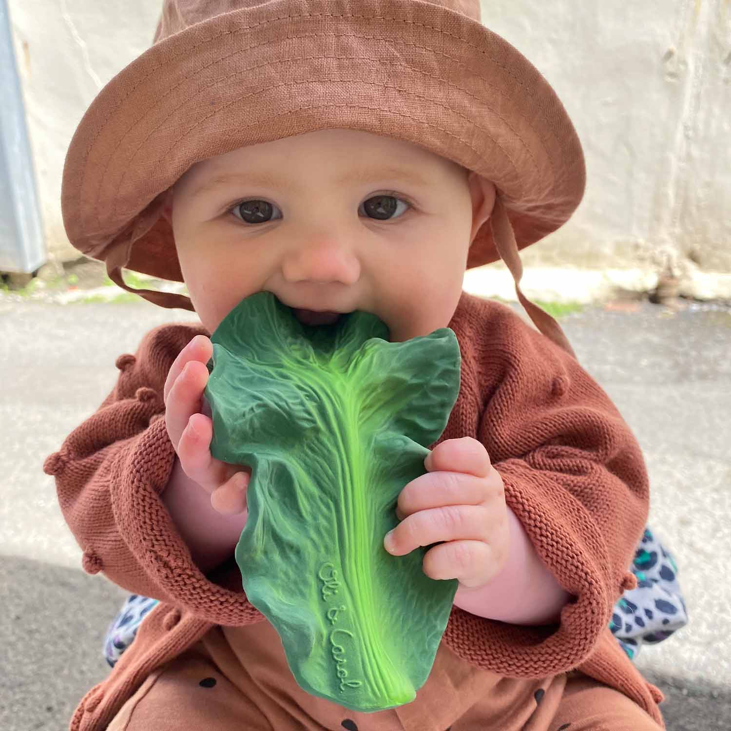 Kendall the Kale Anneau Dentition Bébé