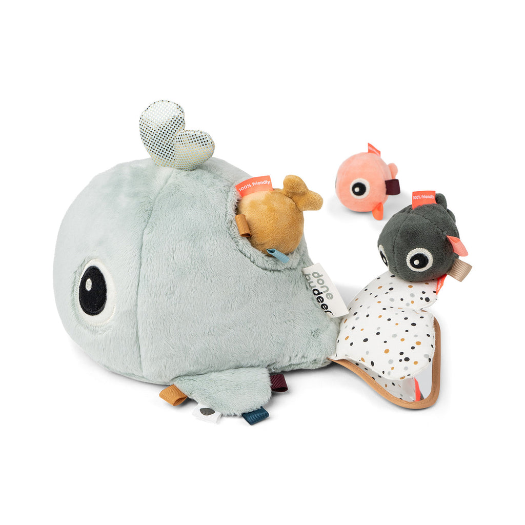 Jeu d'activité cache-cache - wally - bleu