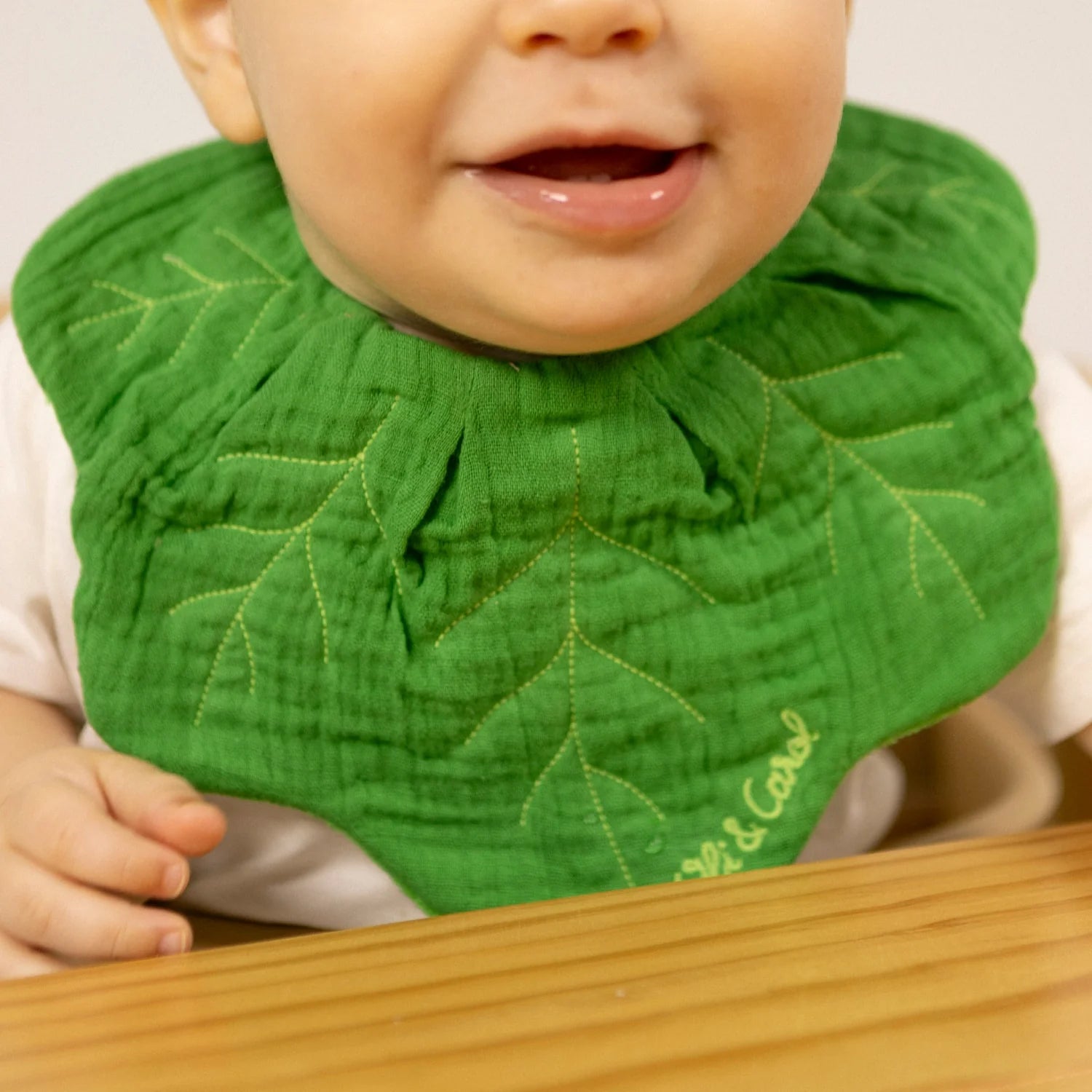 Bavoir Kendall Le chou kale