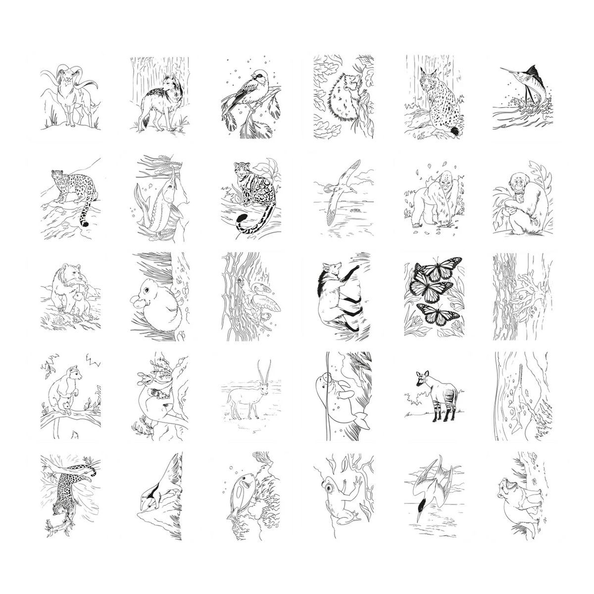 KIDYDRAW-PAD Tablette à dessin lumineuse Animaux