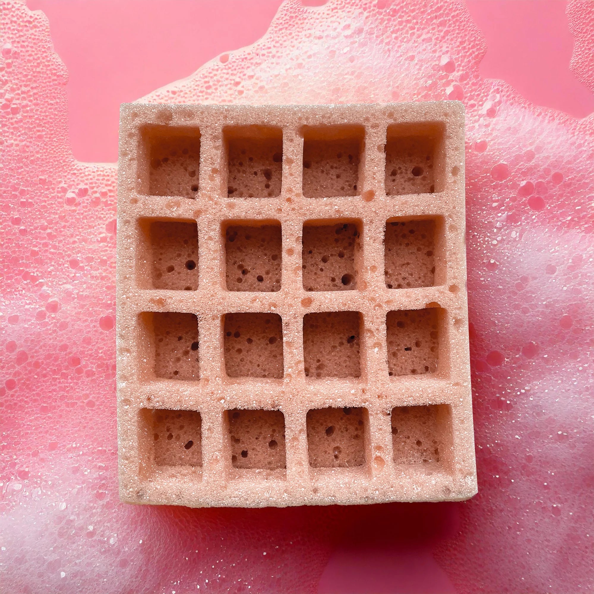 Eponge Gaufre