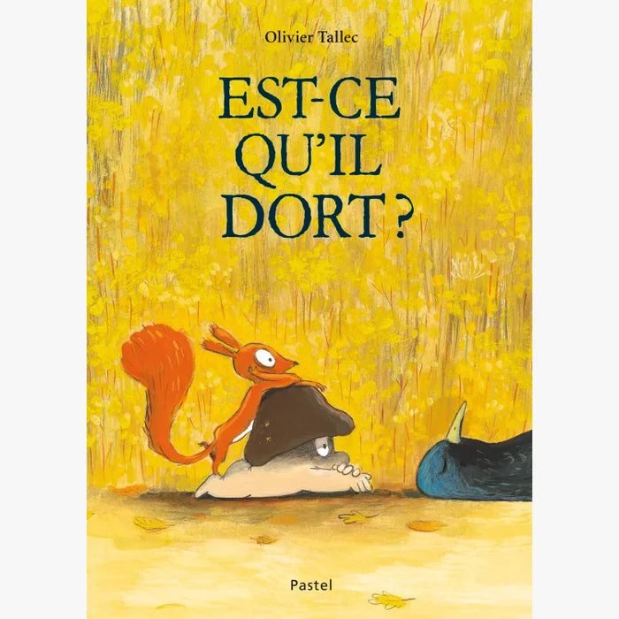 Livre Est-ce qu'il dort ?