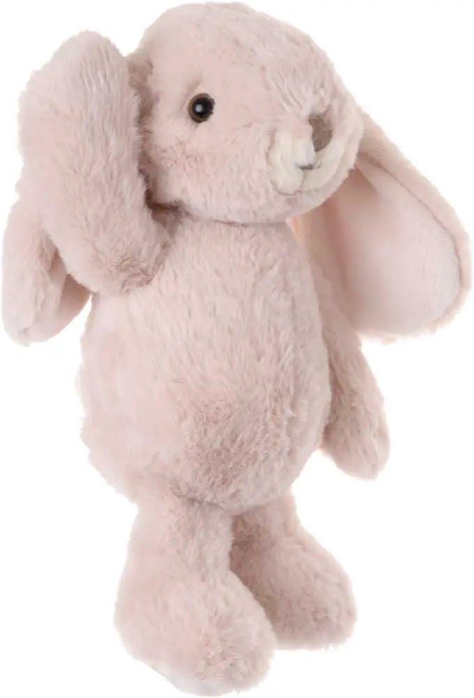 Lapin lovely Kanini
