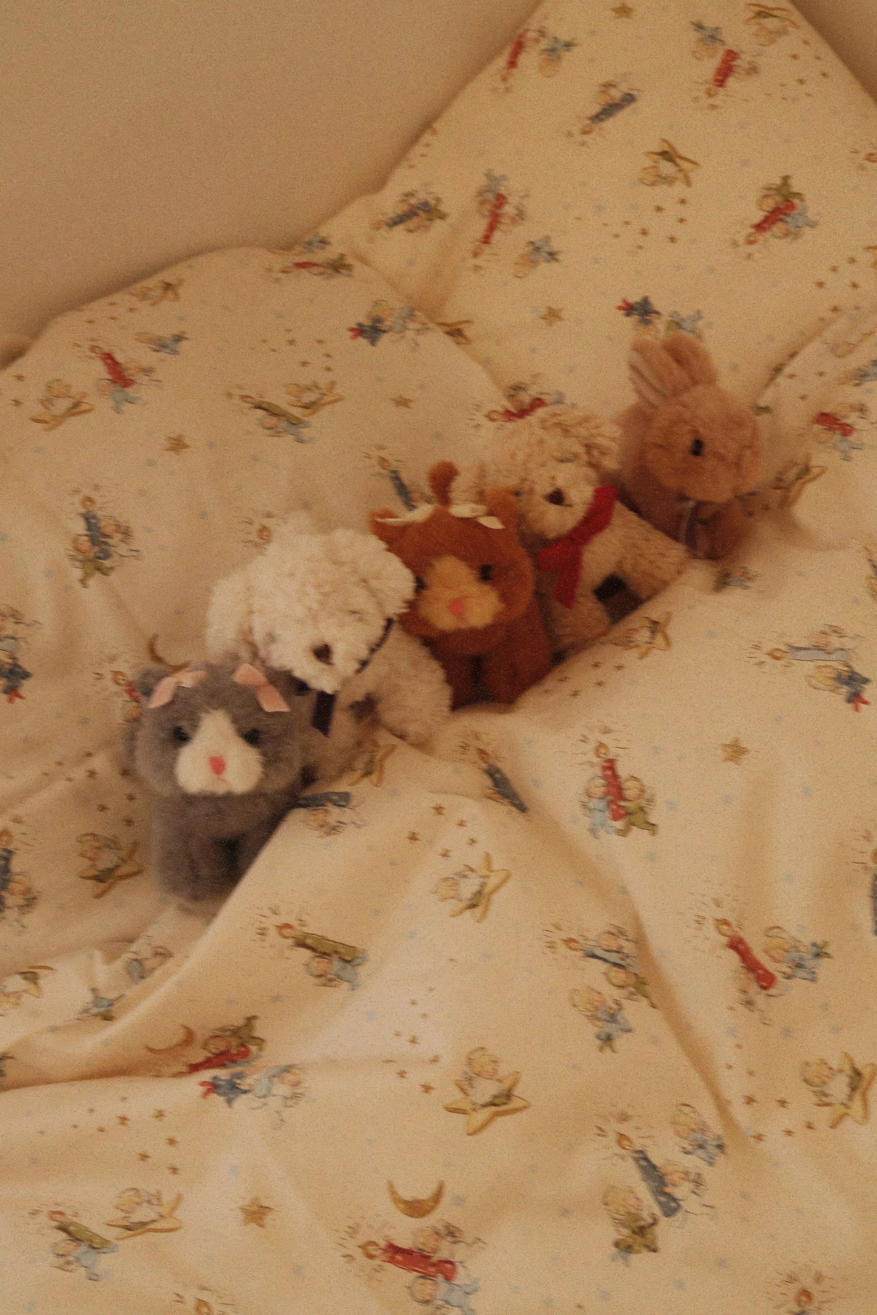 Bébés animaux chat gris - Konges Sløjd