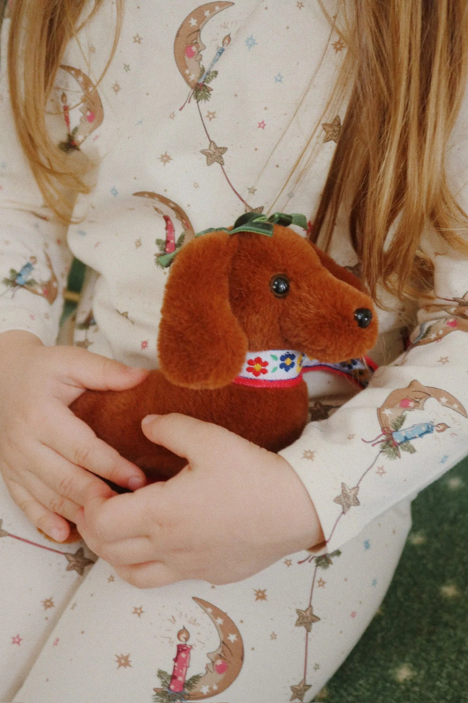 Chiot de compagnie - Konges Sløjd