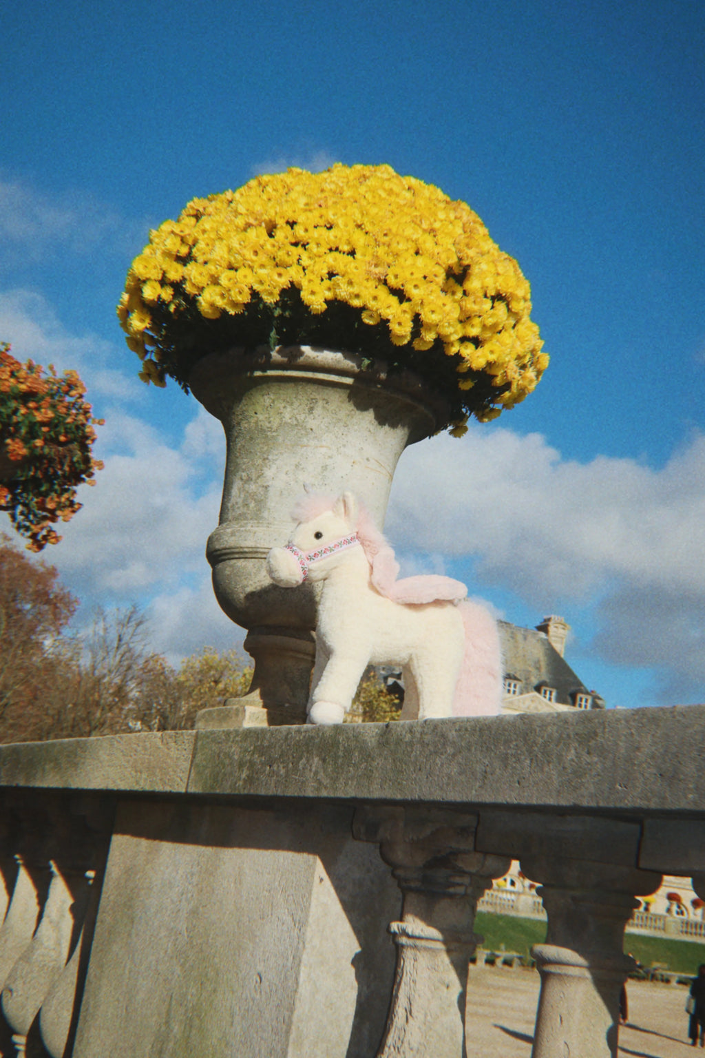 Licorne Starlight