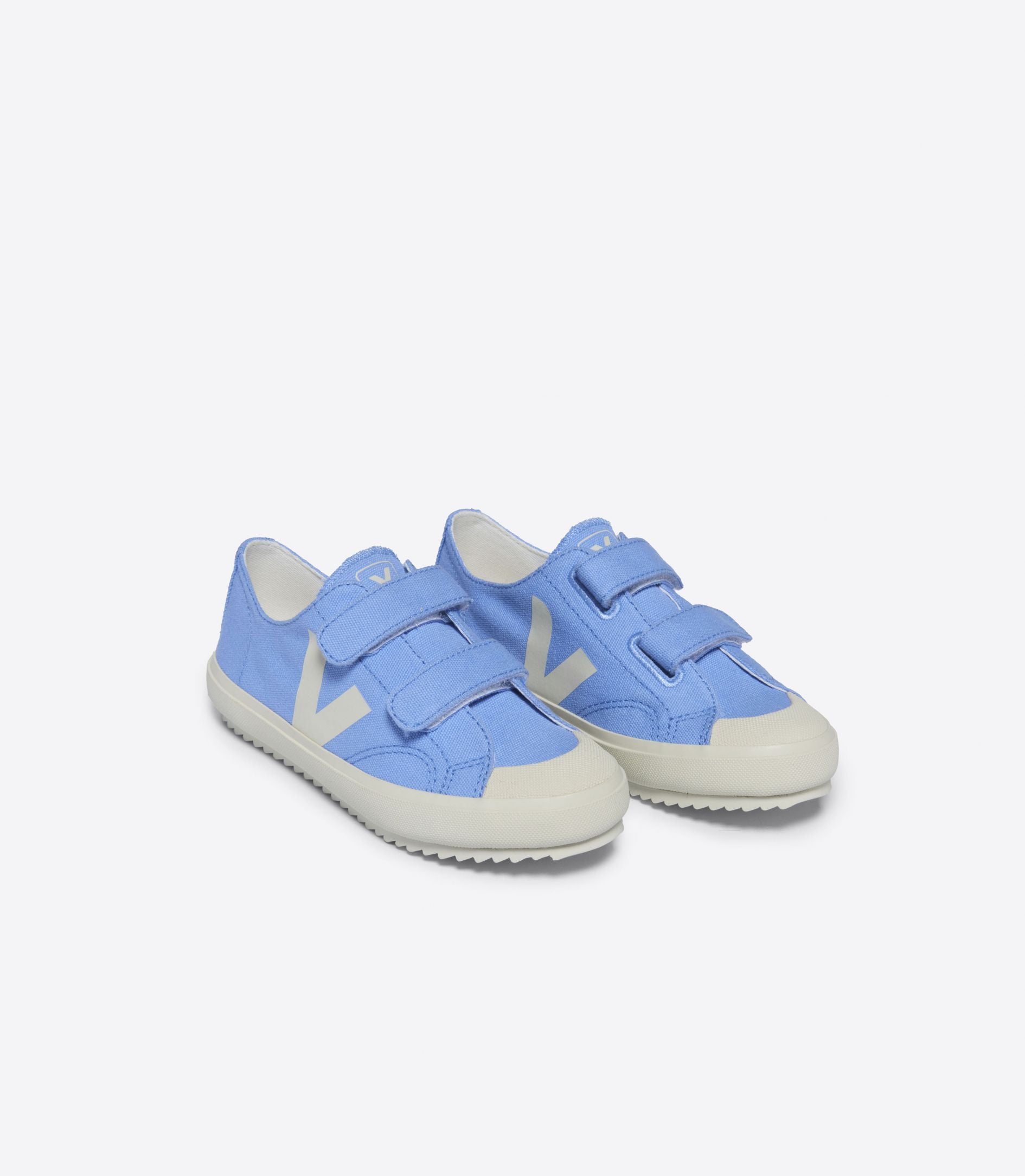 OLLIE CANVAS - AQUA PIERRE