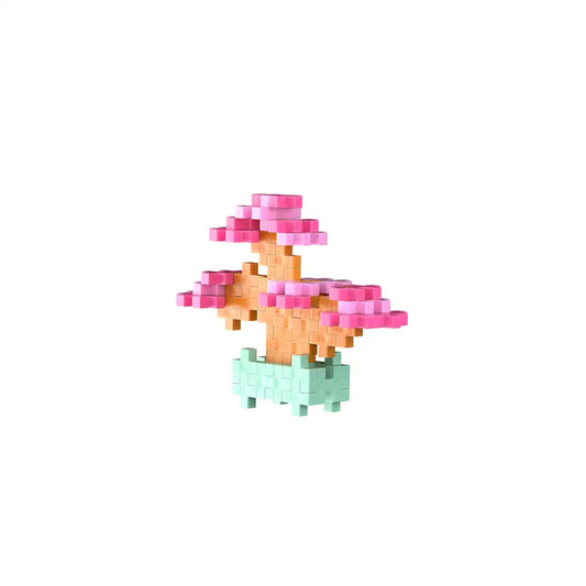 Pop Plantes – Bonsaï Rose