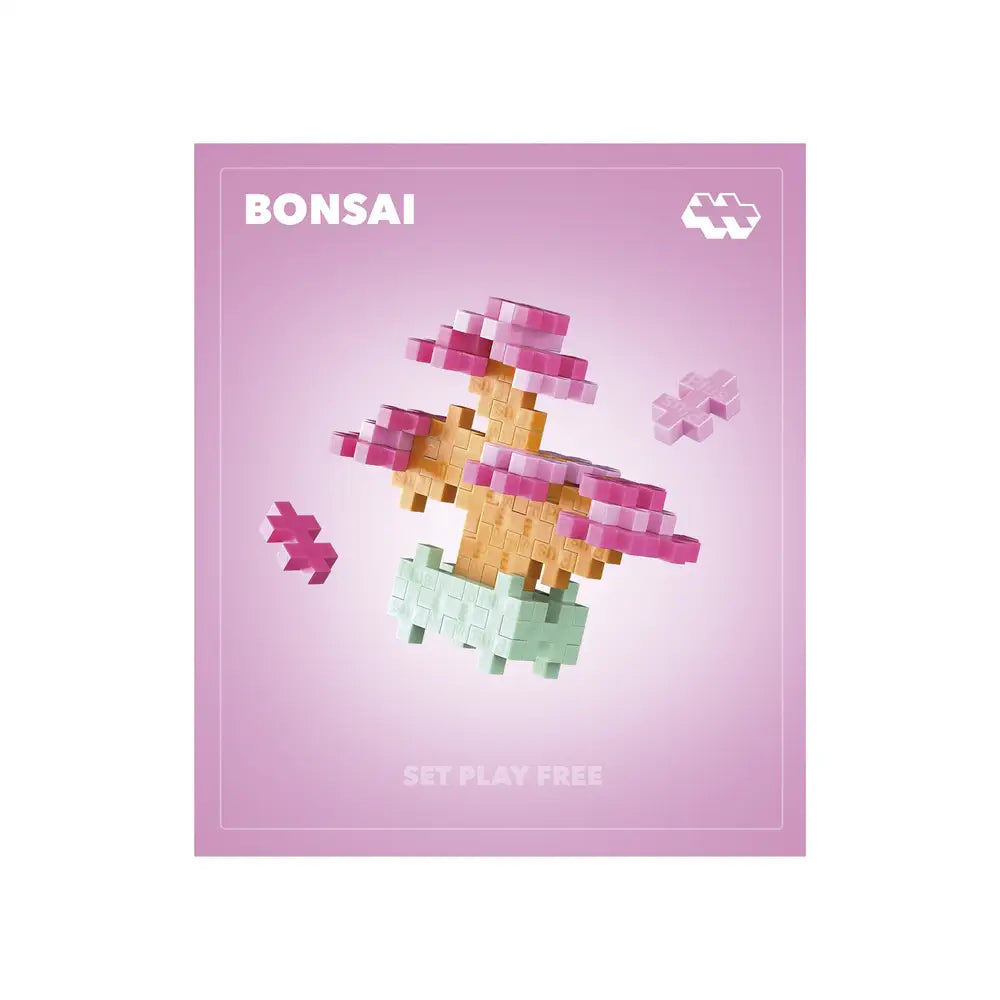 Pop Plantes – Bonsaï Rose