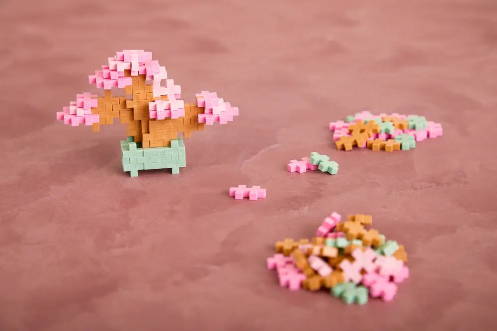 Pop Plantes – Bonsaï Rose