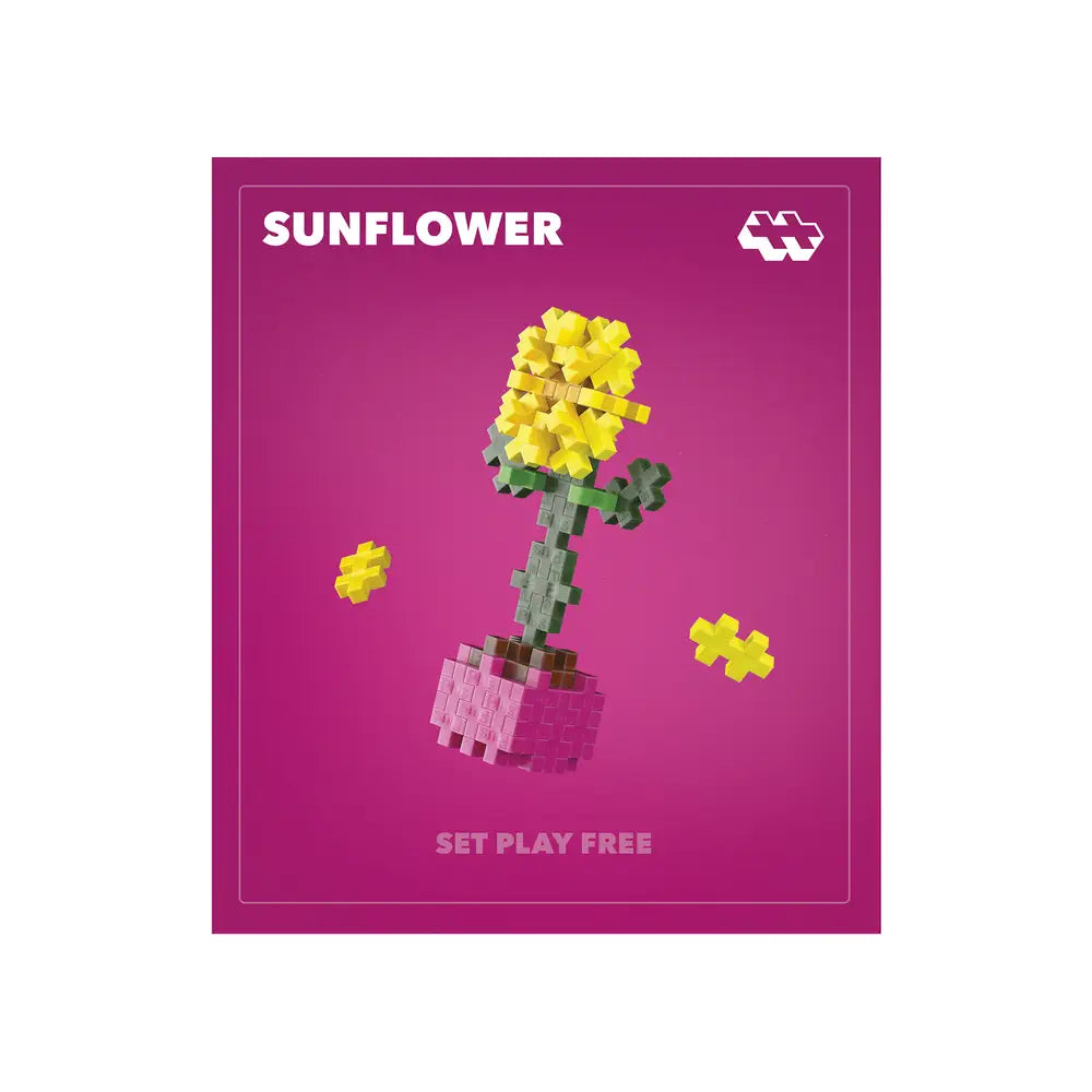 Pop Plantes – Tournesol