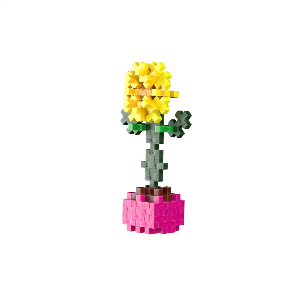 Pop Plantes – Tournesol