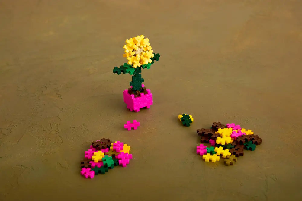 Pop Plantes – Tournesol