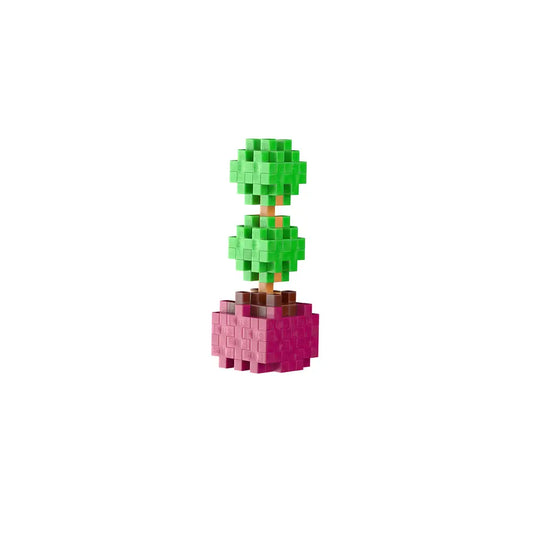 Pop Plantes – Buis