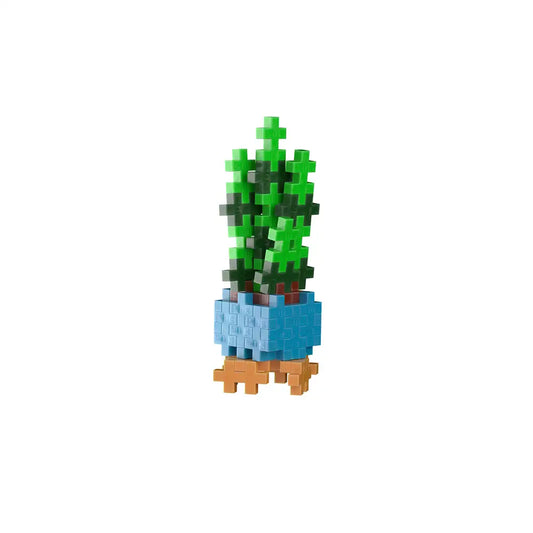 Pop Plantes – Succulente