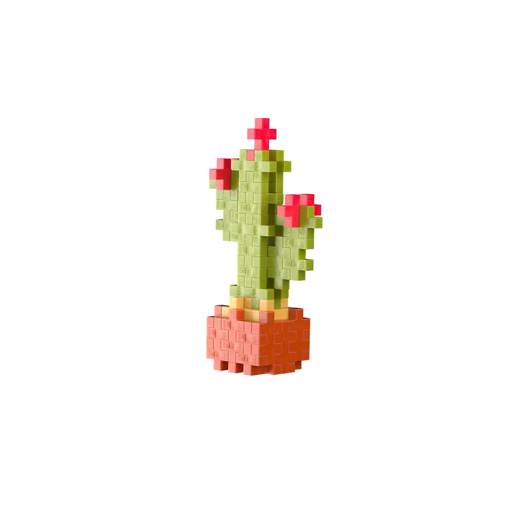 Pop Plantes – Cactus