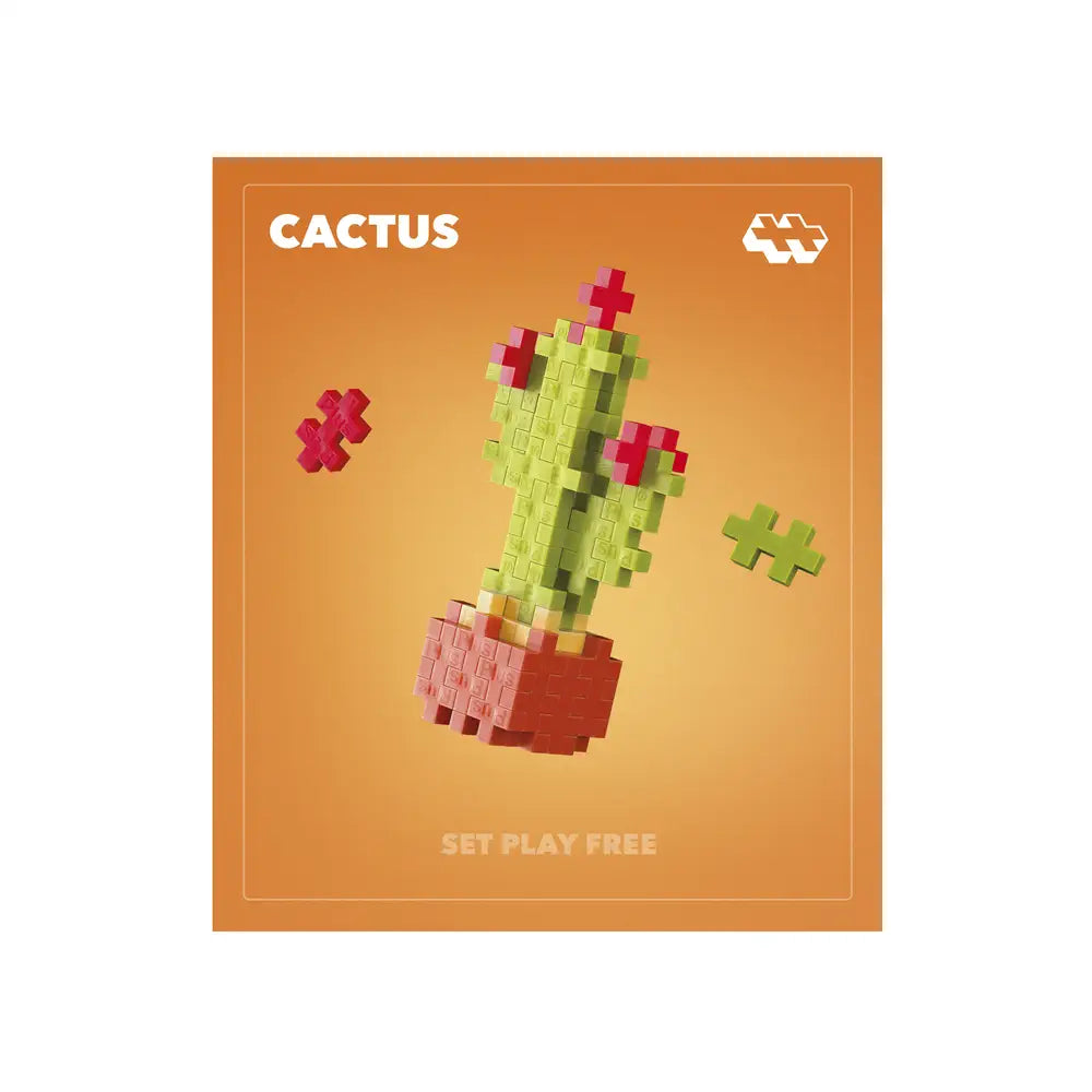 Pop Plantes – Cactus