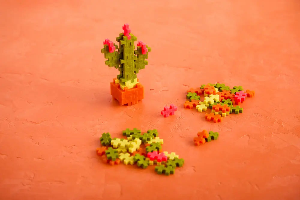 Pop Plantes – Cactus