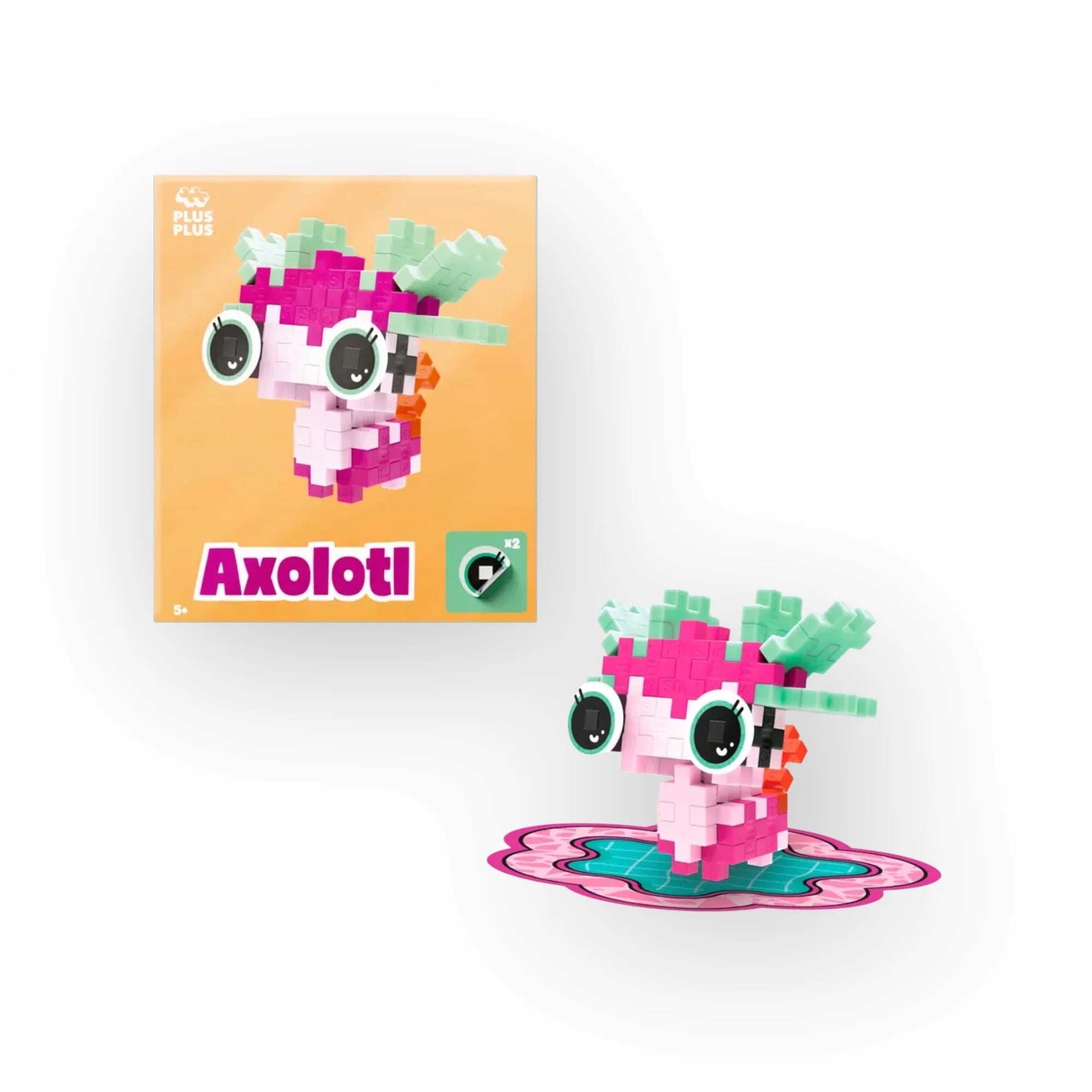 Pop Plusplus - plusieurs modèles disponibles