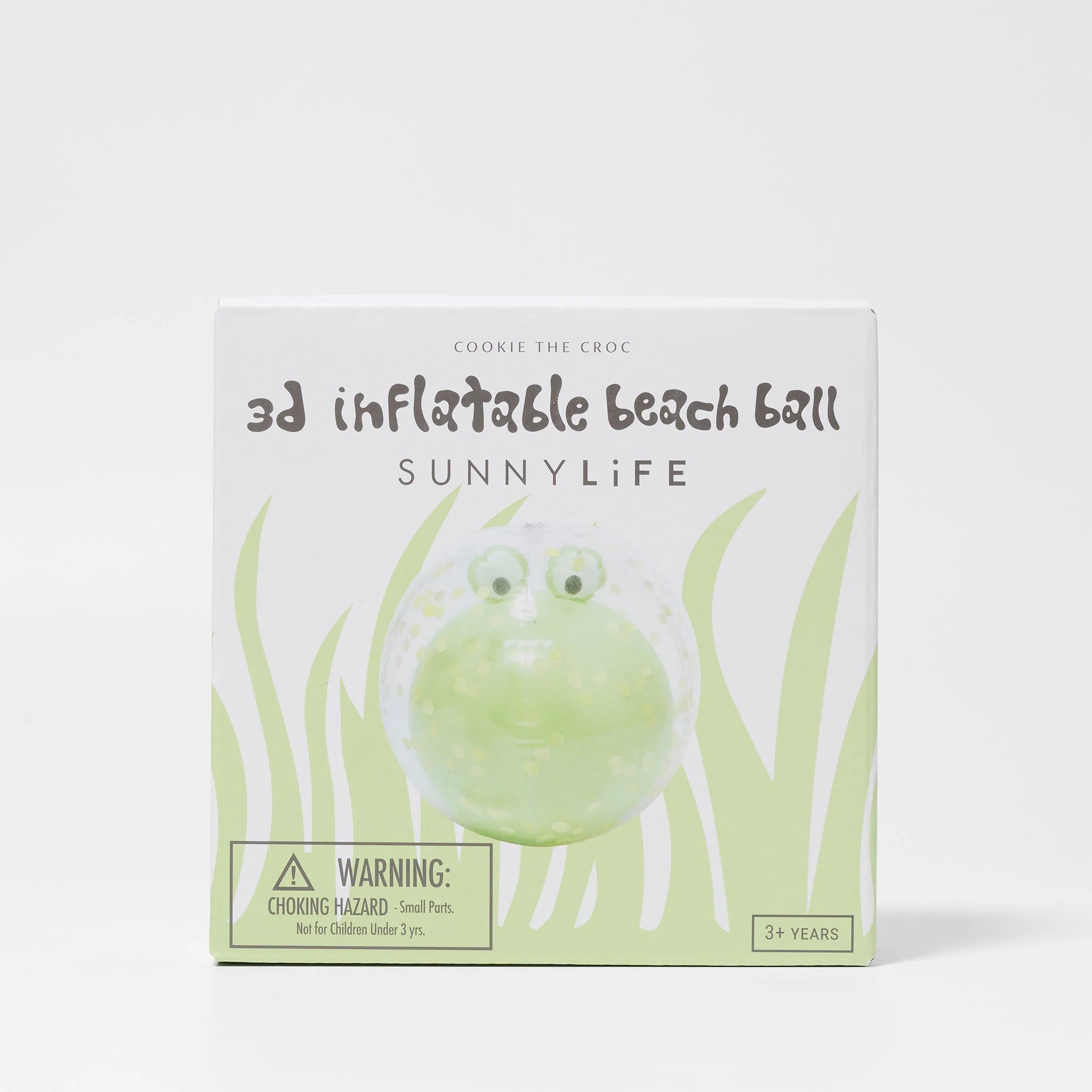 Ballon de plage gonflable 3D grenouille