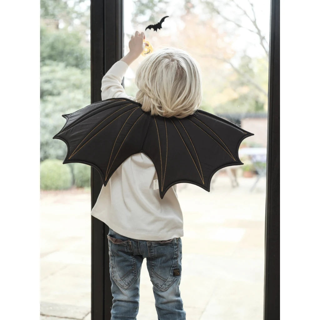 DEGUISEMENT - AILES - CHAUVE SOURIS 3-6 ans