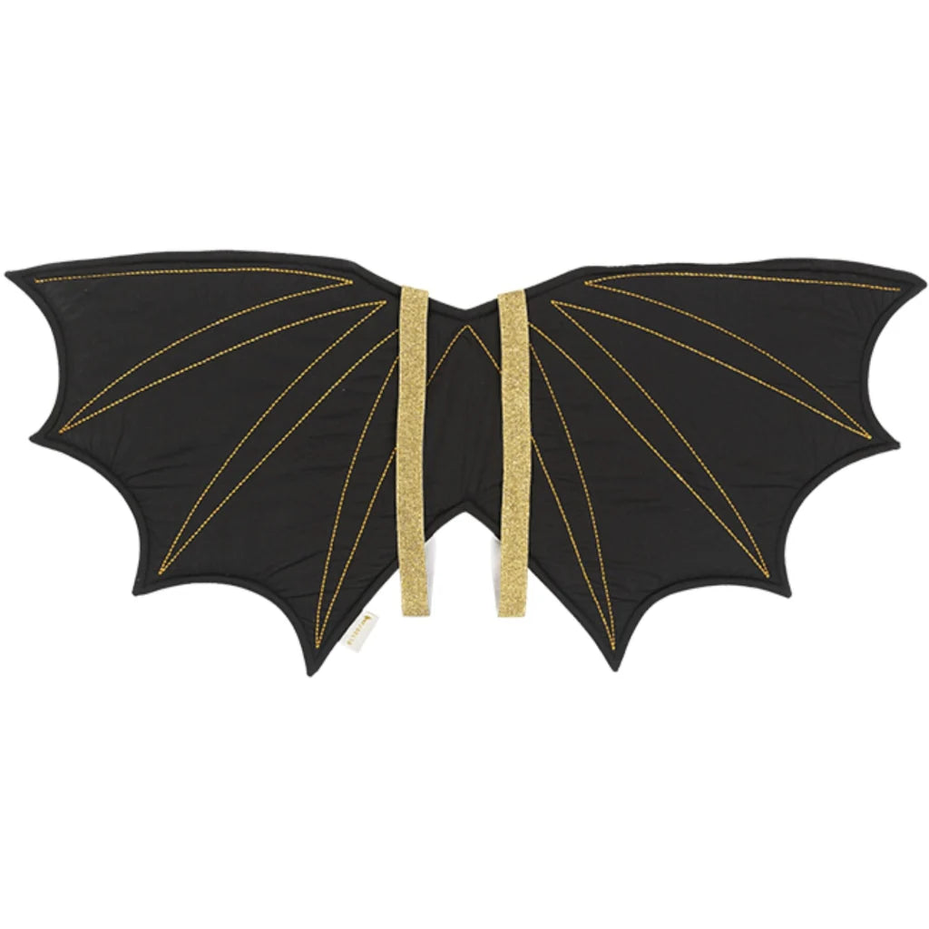 DEGUISEMENT - AILES - CHAUVE SOURIS 3-6 ans