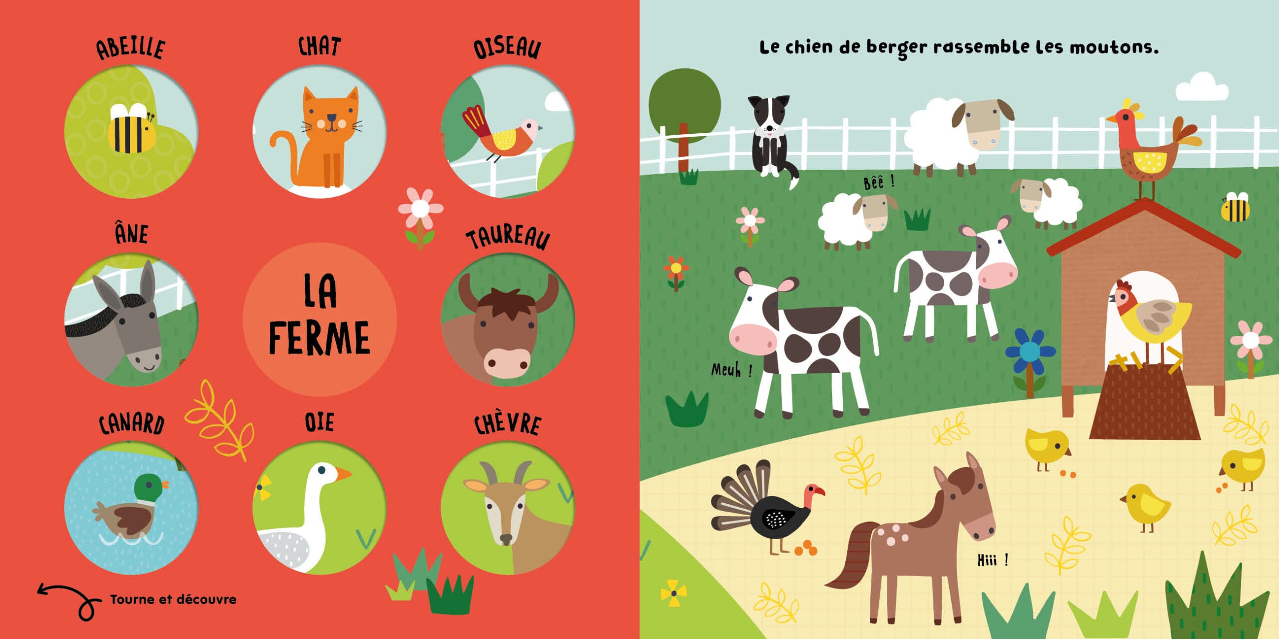 Tourne et découvre – Animaux petits et gros