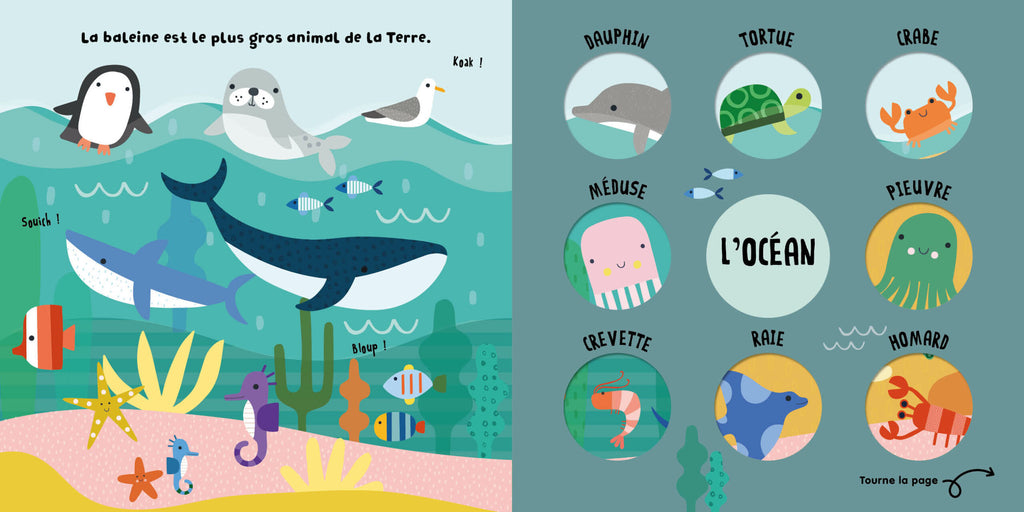 Tourne et découvre – Animaux petits et gros
