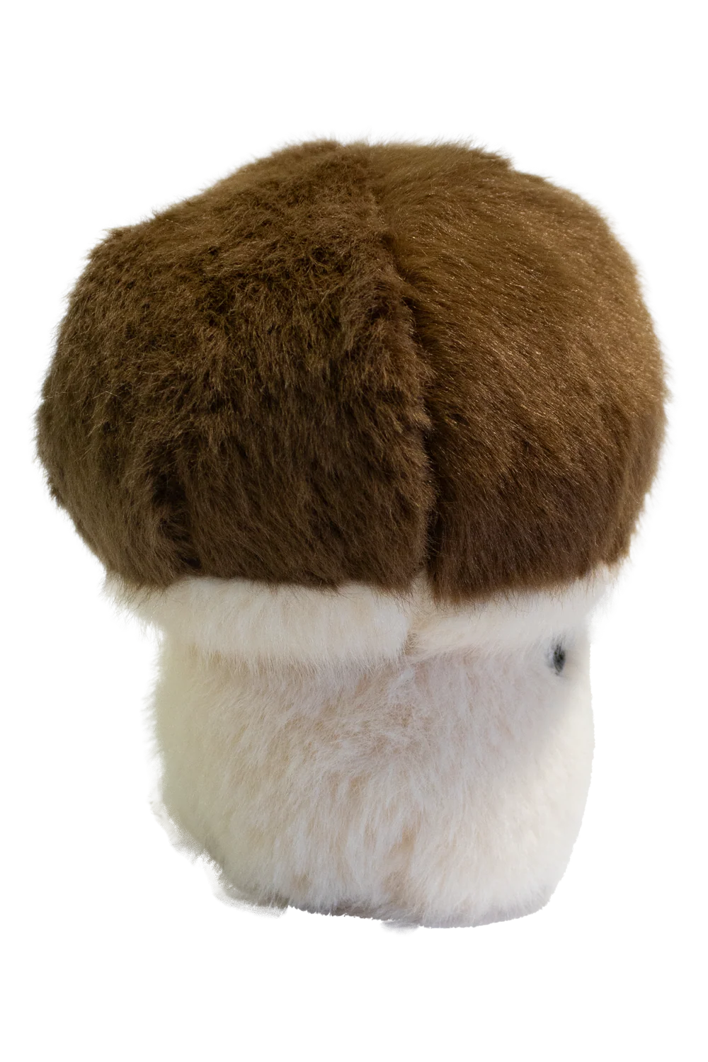 Amis du jardin - Champignon