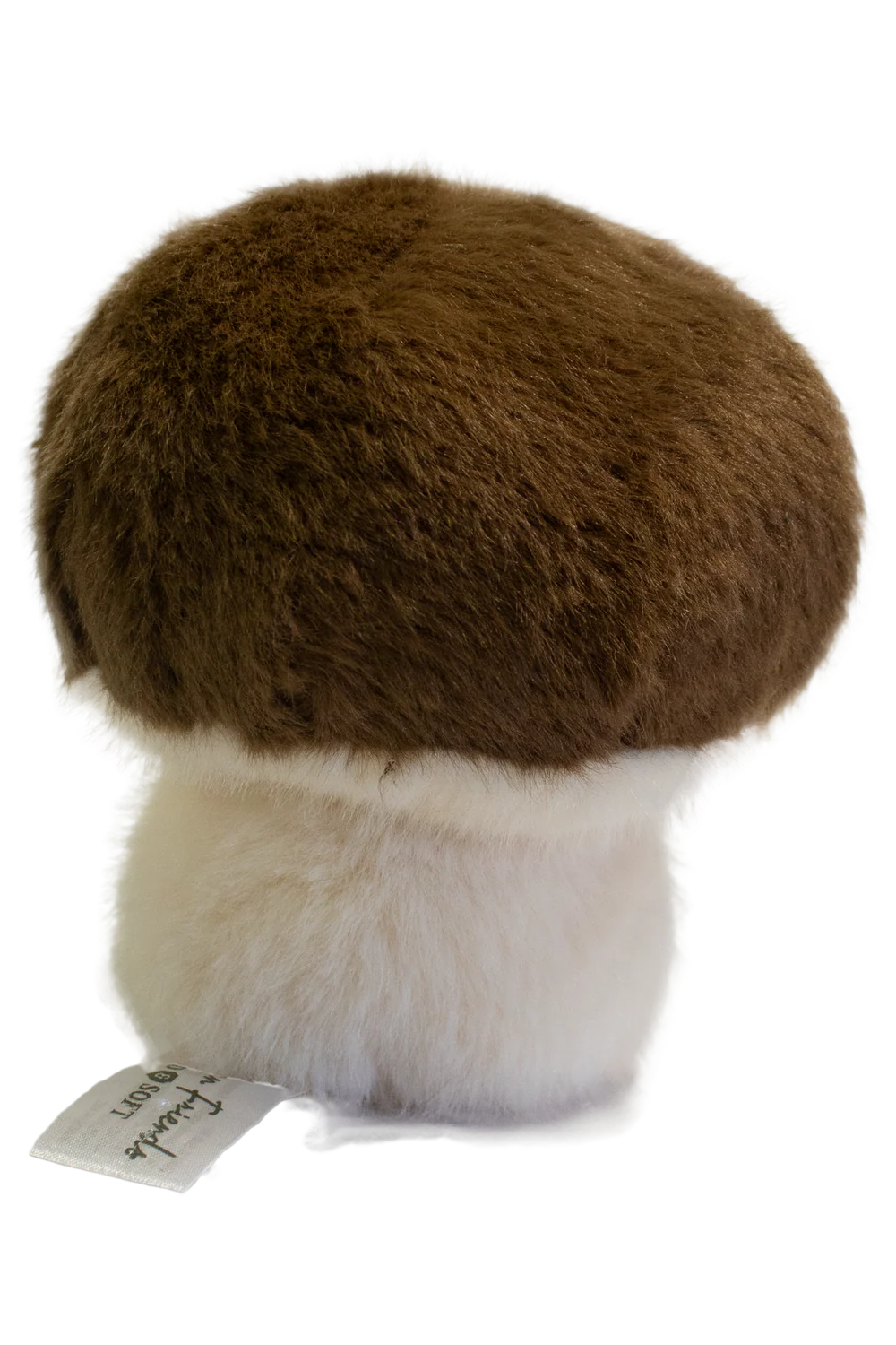 Amis du jardin - Champignon