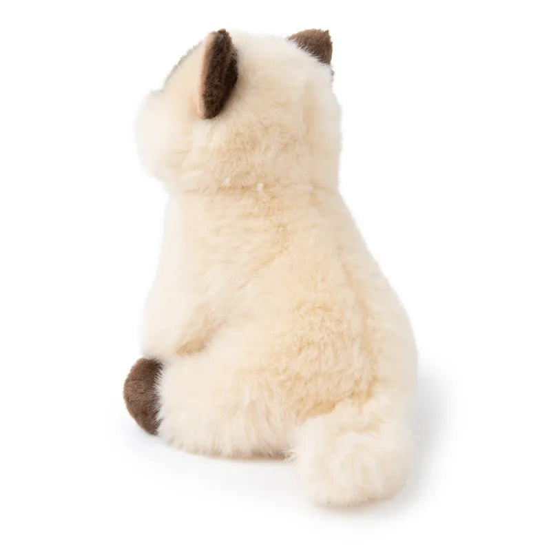 Eddie le Siamois en boîte cadeau - 17cm