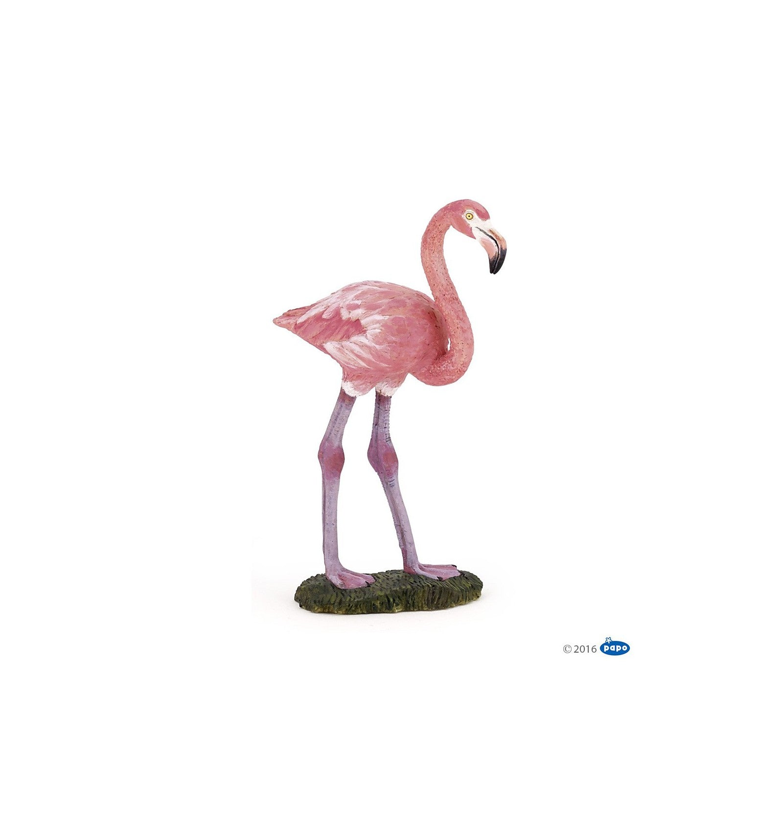 Flamant rose