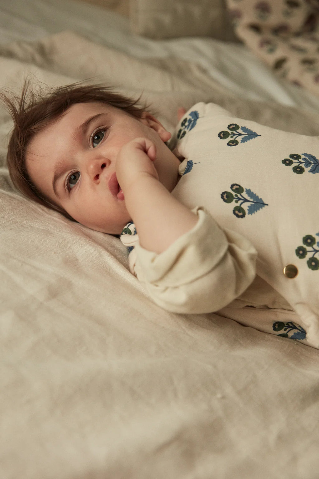 Gigoteuse - Plumbago