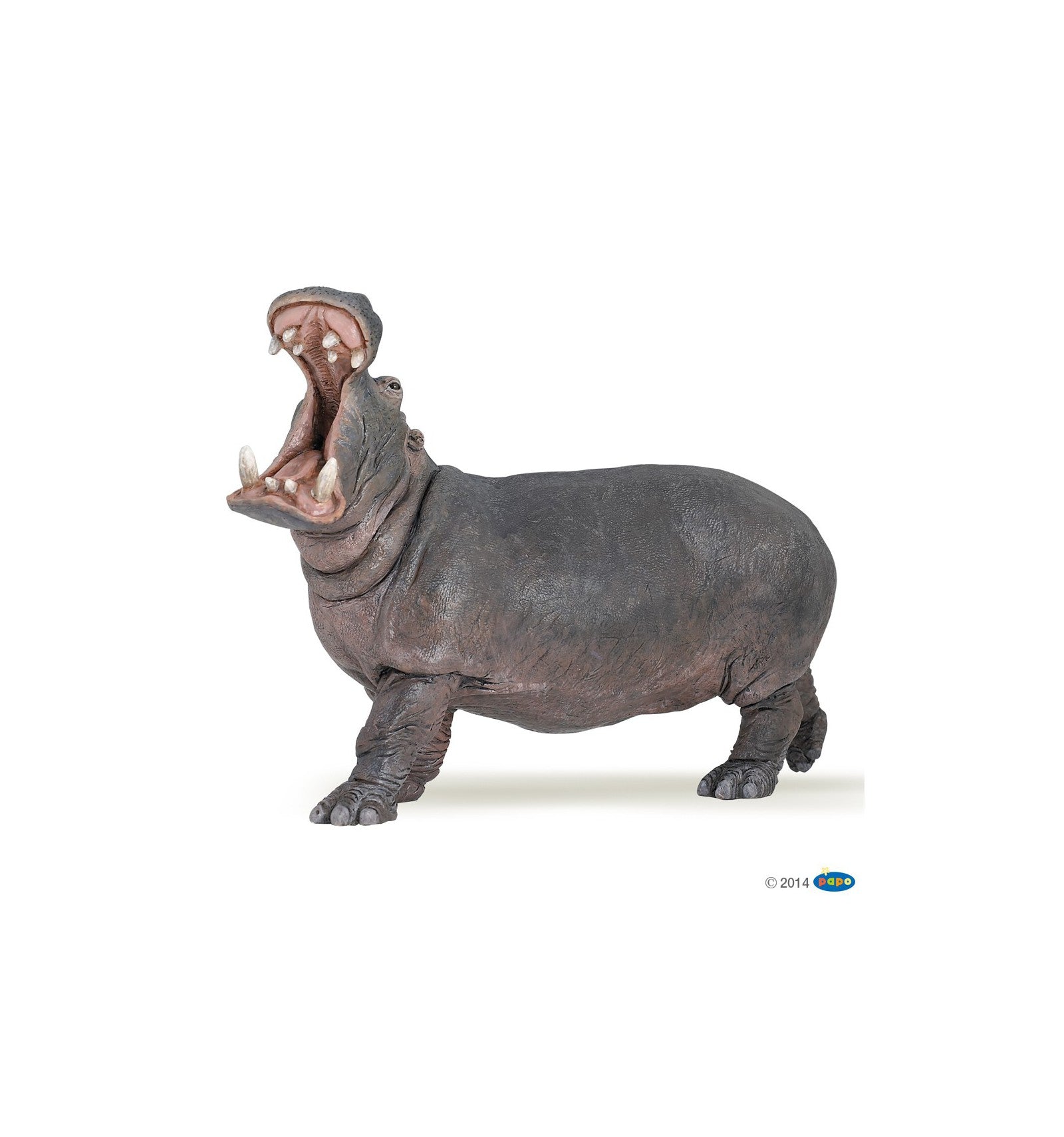Hippopotame