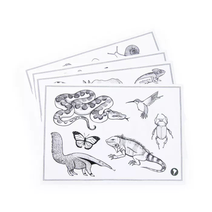 Tablette lumineuse Kidywolf x Moulin Roty