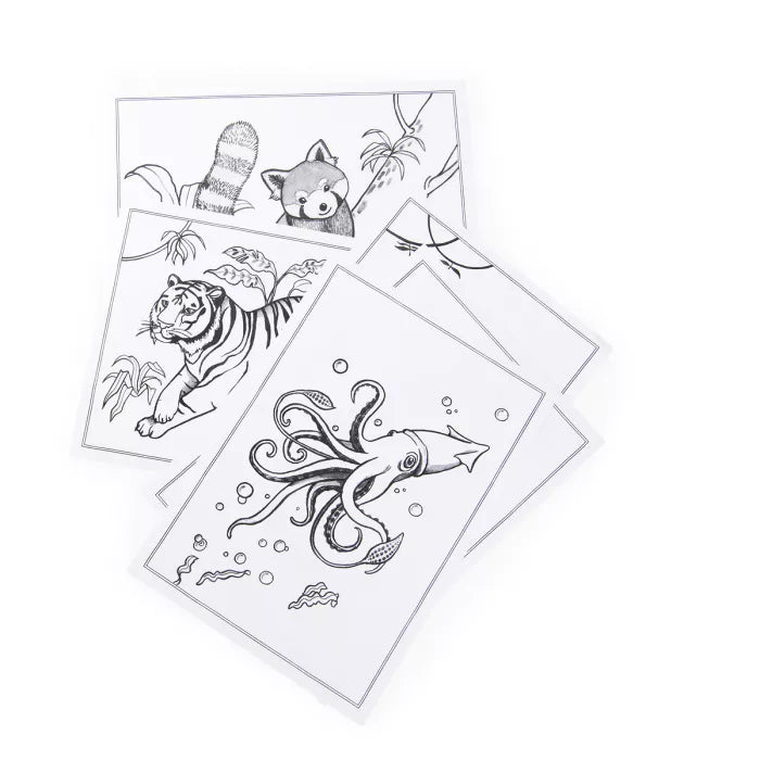 Tablette lumineuse Kidywolf x Moulin Roty